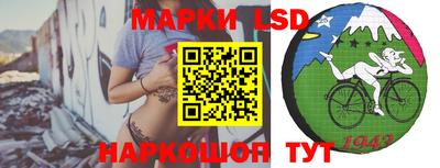 индика Малгобек