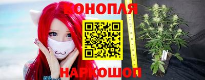 индика Малгобек