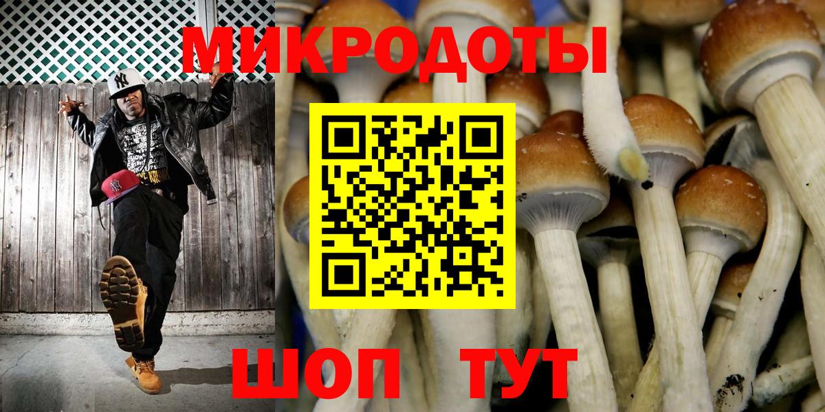 Псилоцибиновые грибы мицелий Щёлково